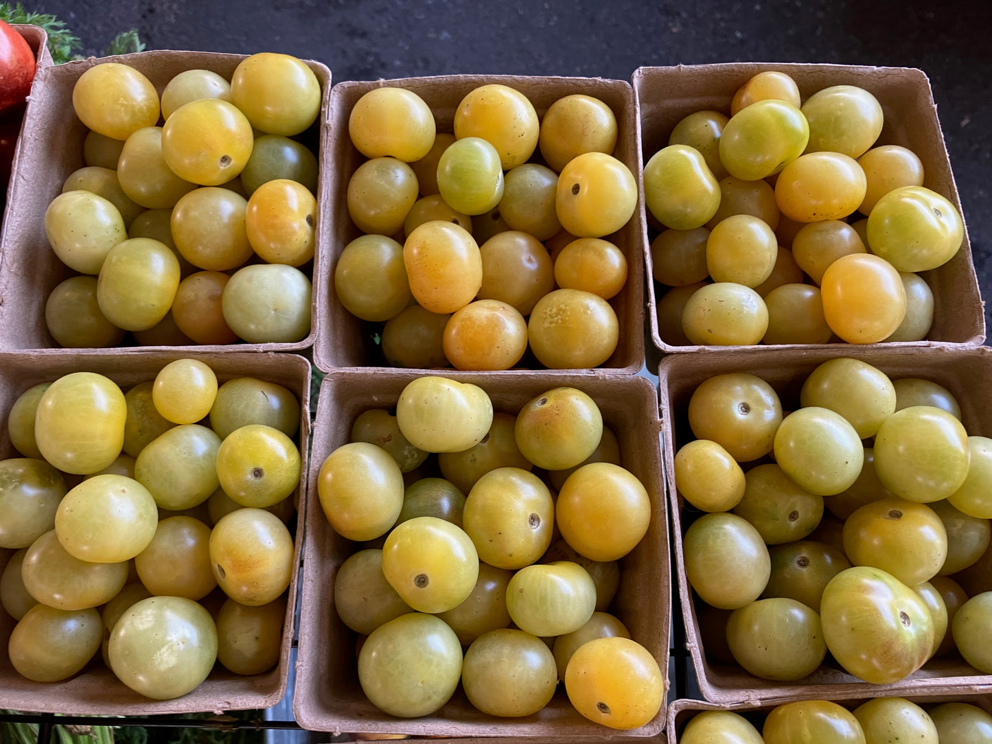 Tomatoes, Napa Chardonnay Blush
