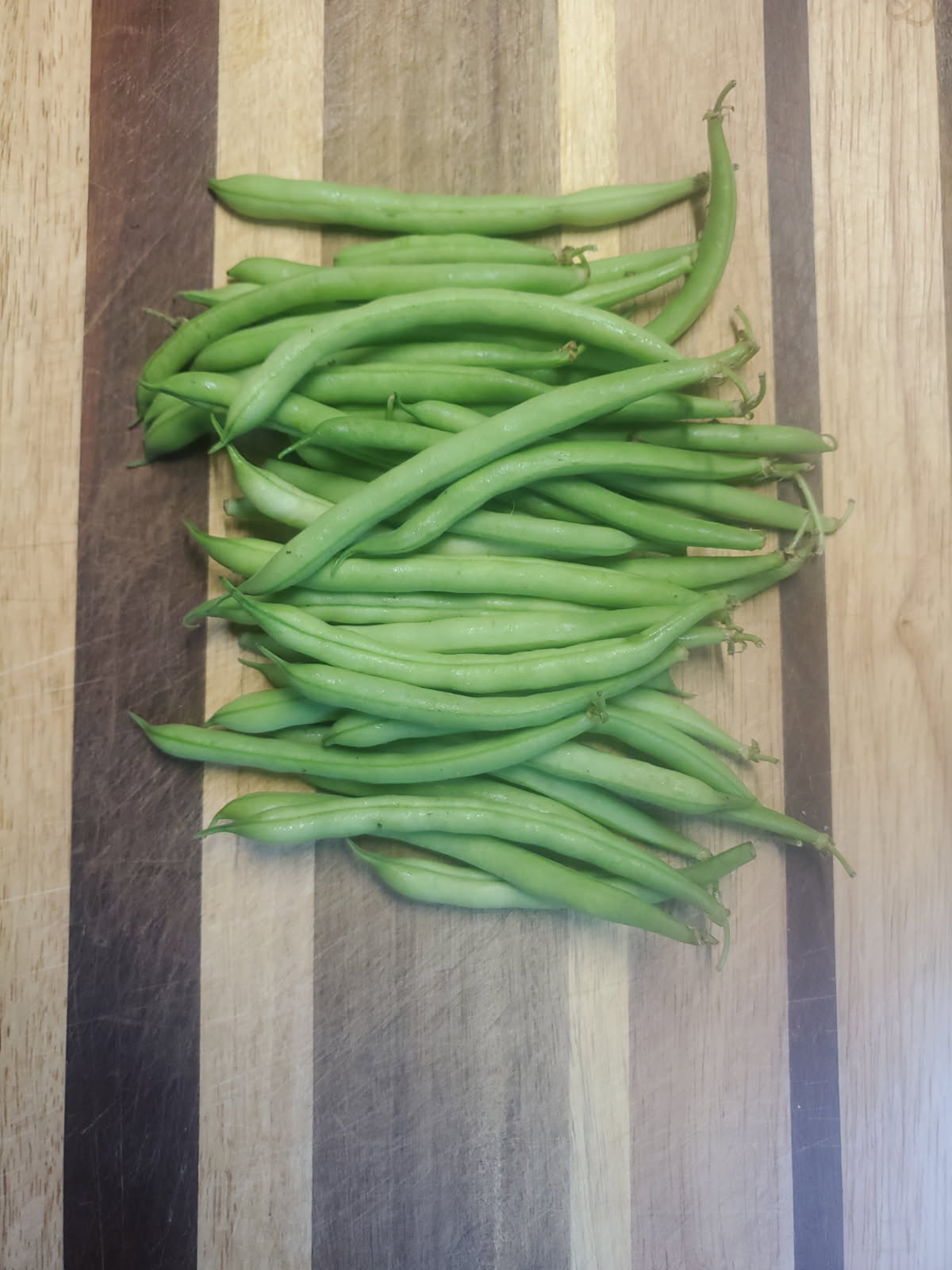 Green Beans (Eden's Memory)