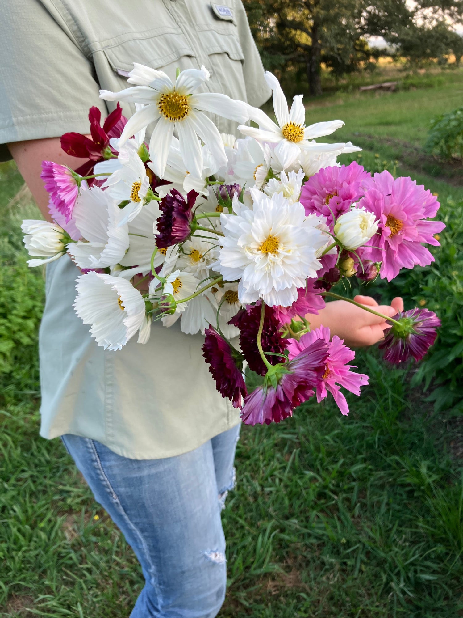 Cut Flowers and Bouquets