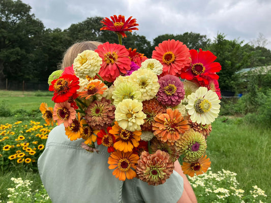 Mixed Flowers