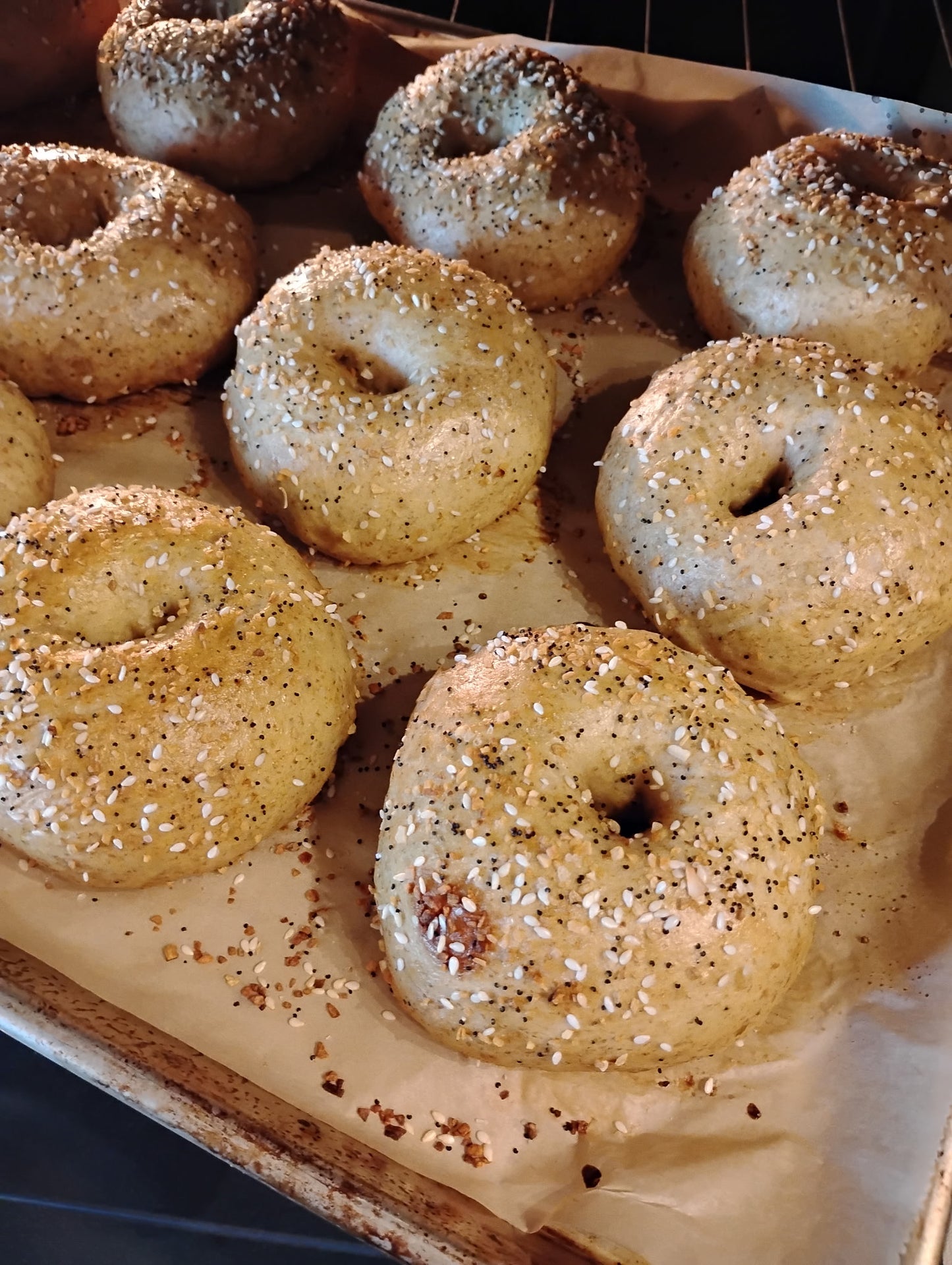Everything Sourdough Bagels