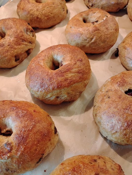 Cinnamon Cranberry Sourdough Bagels