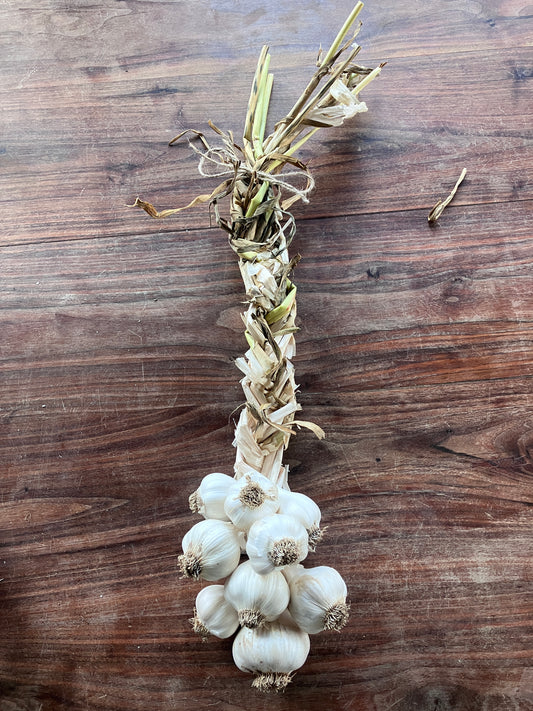 Garlic Braided