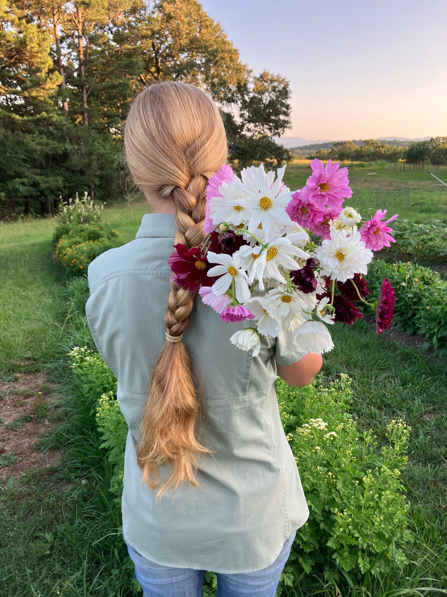 Fresh Cut Mixed Flowers