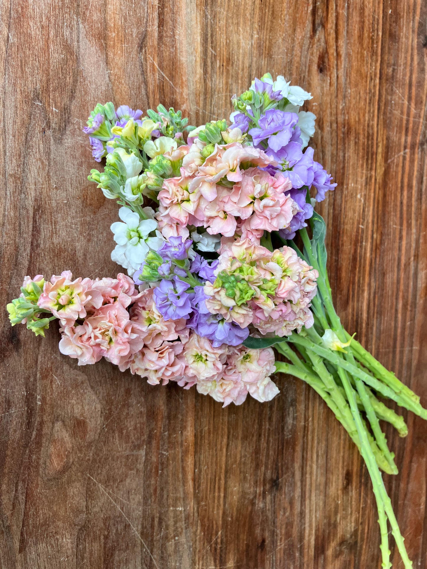 Fresh Cut Mixed Flowers