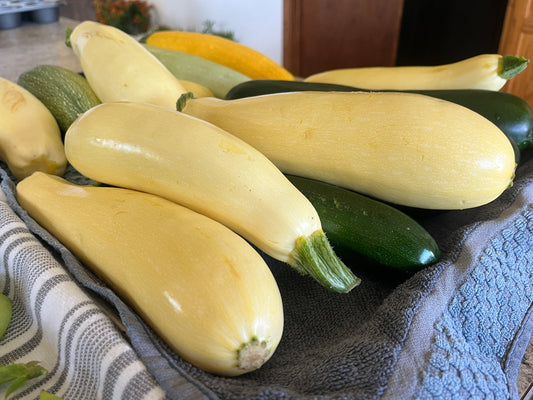 Yellow Squash