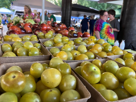 Tomatoes, Napa Chardonnay Blush