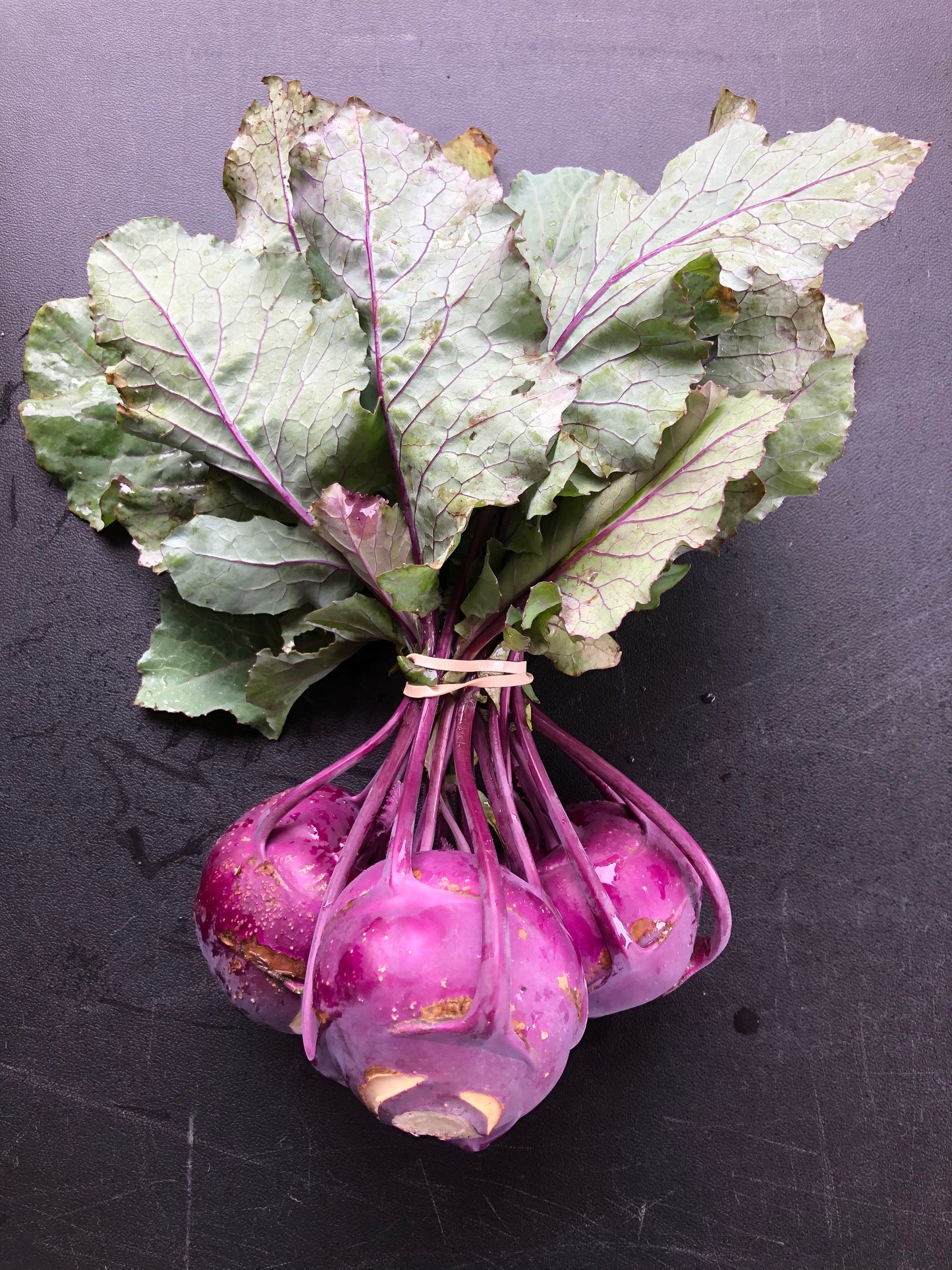 Kohlrabi