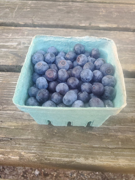Blueberries (Eden's Memory)